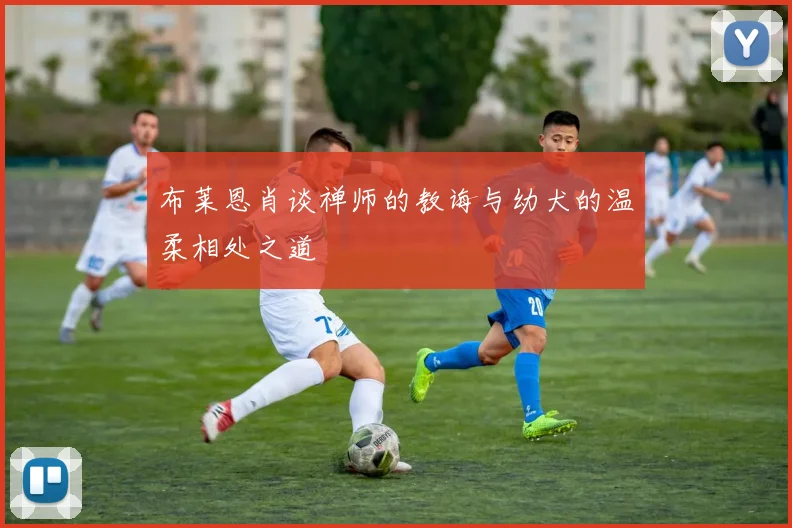 布莱恩肖谈禅师的教诲与幼犬的温柔相处之道