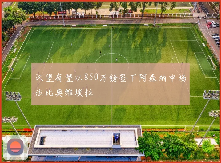 汉堡有望以850万镑签下阿森纳中场法比奥维埃拉